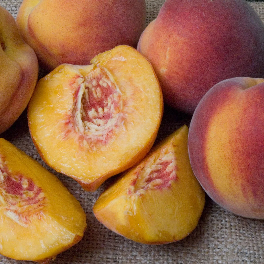 RED HAVEN PEACH 5gal