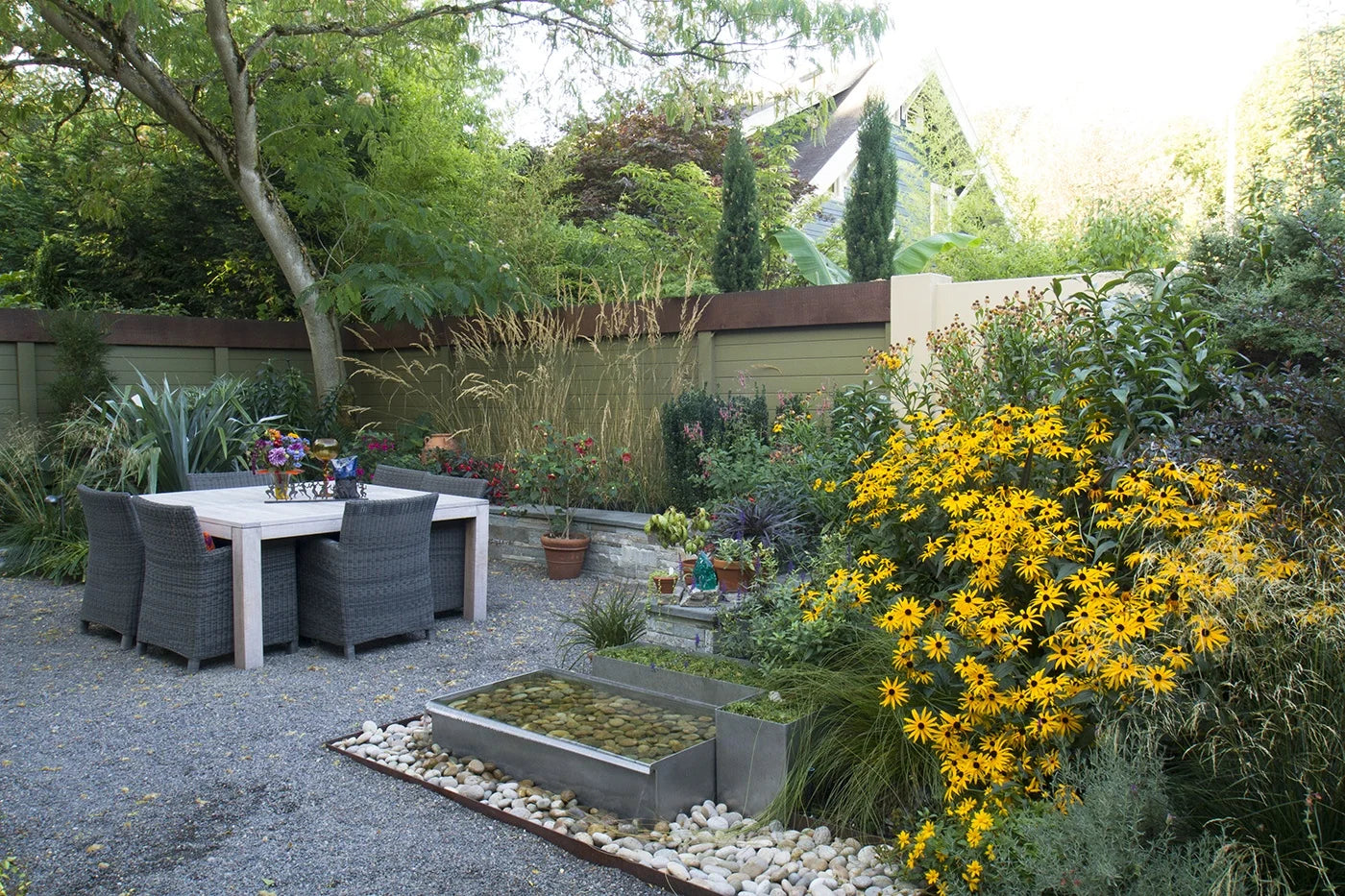 GOLDSTURM RUDBECKIA 1 GAL