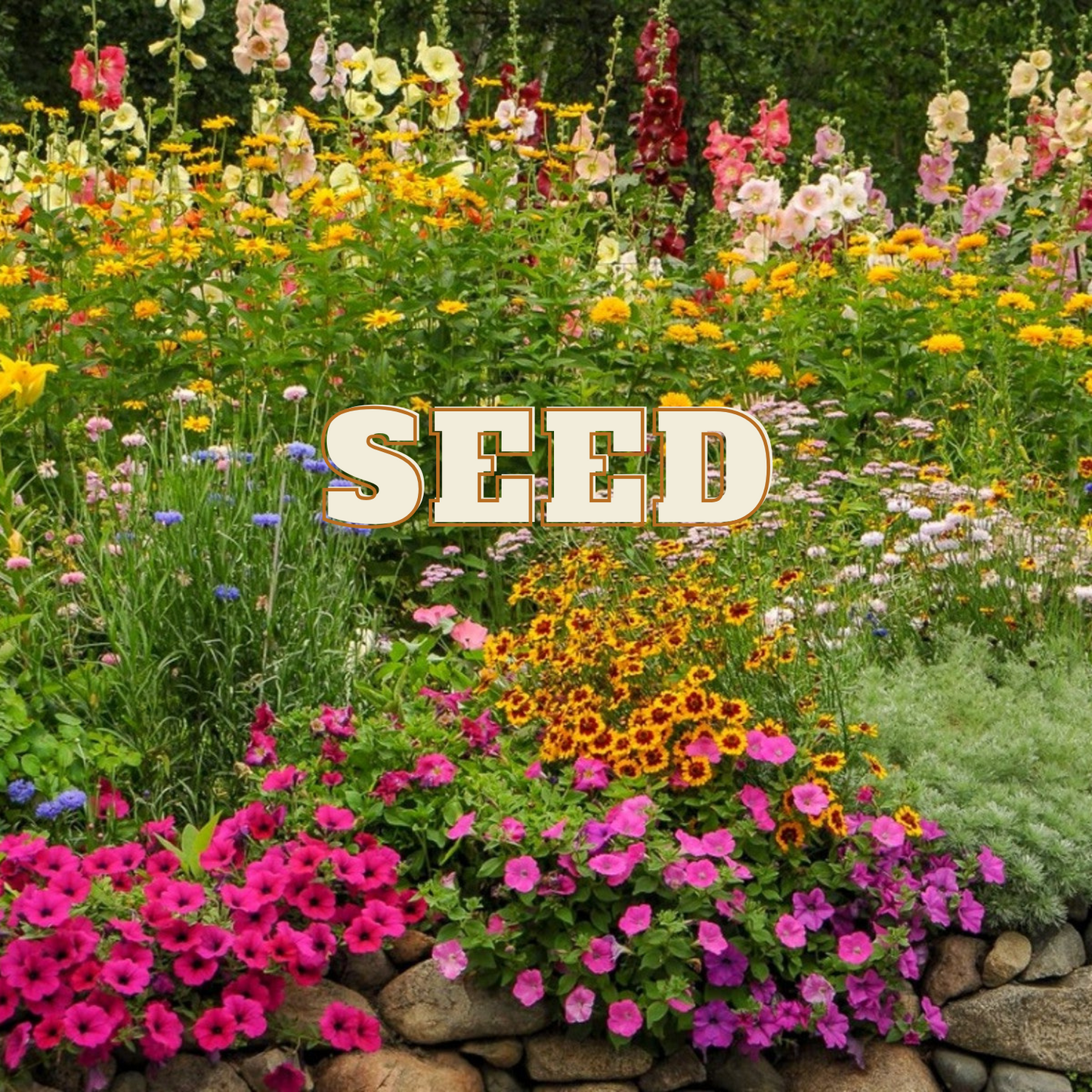 SEEDS 269