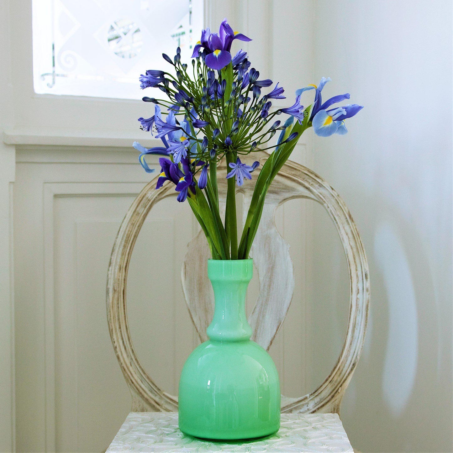 Dutch Iris - Blue Diamond