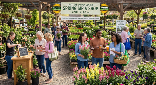 Watters Garden Center Blends Gardening, Wine, and Community Giving