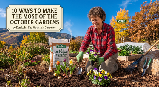 10 ways to Make the Most of the October Gardens