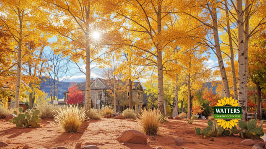 Effortless Plants for Busy Gardeners