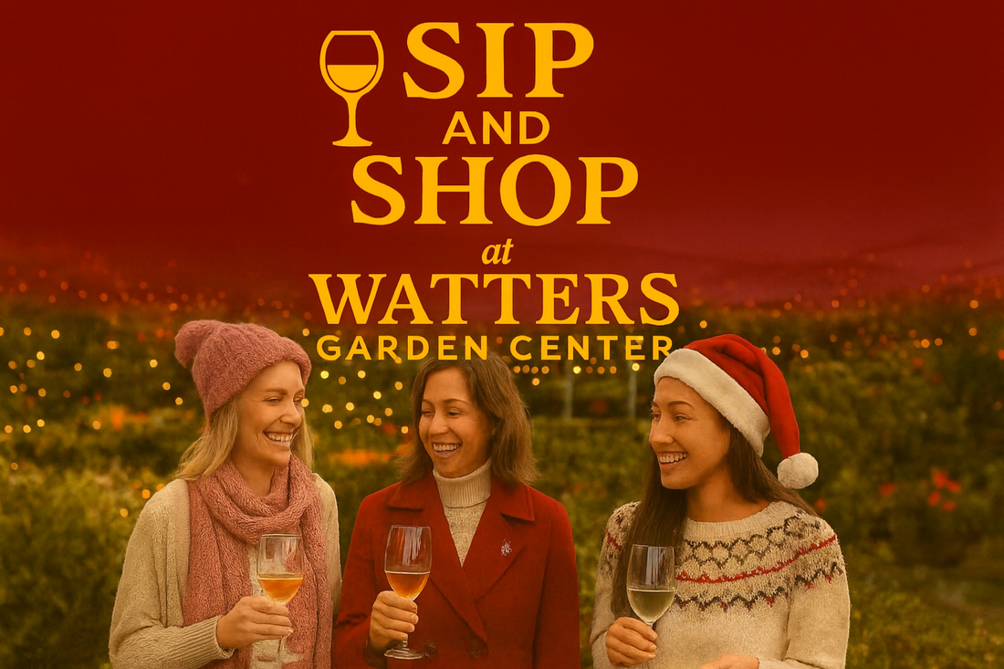 Watters Garden Center Invites Community to Festive Holiday Sip & Shop Event