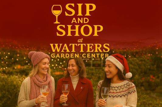 Watters Garden Center Invites Community to Festive Holiday Sip & Shop Event