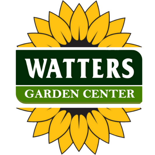 Big News from the Garden Grounds!