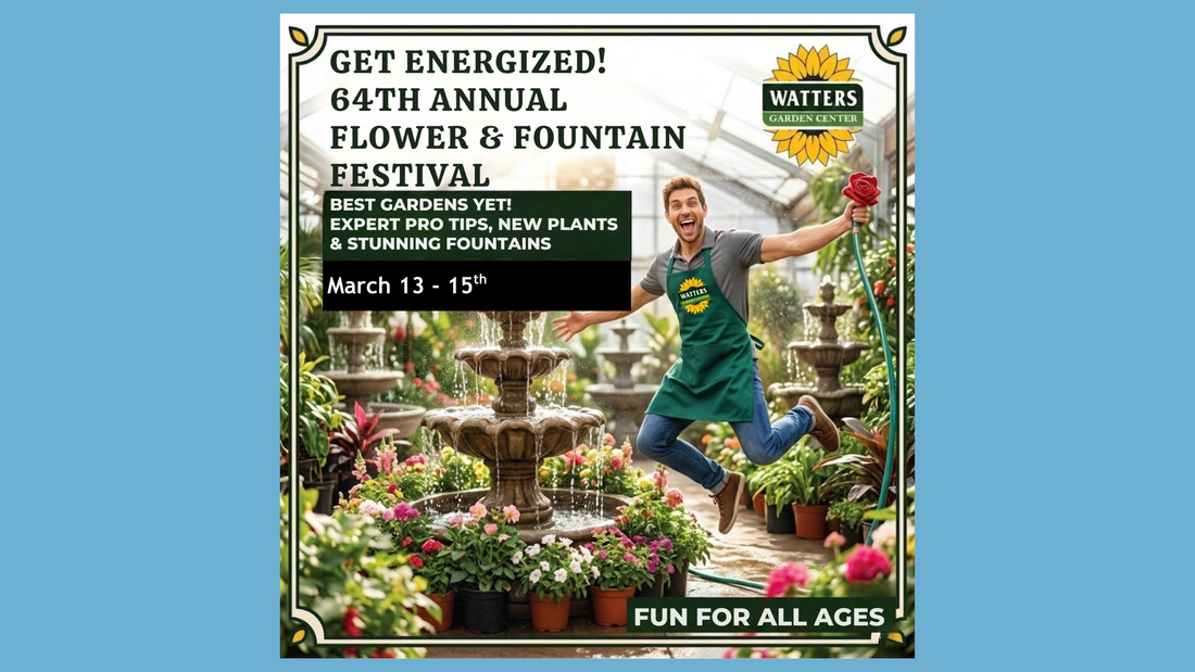 Watters Garden Centers Celebrates 64th Blossom & Blooms Flower Festival