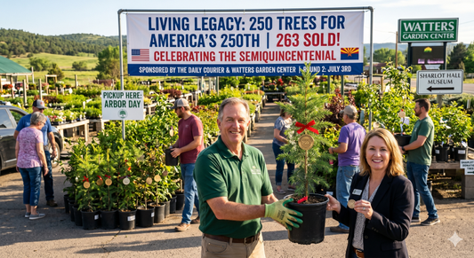 Prescott's Patriotic Planting: Watters Garden Center Sells Out of 250th Anniversary Legacy Trees; Second Wave Announced for July 3rd Pickup