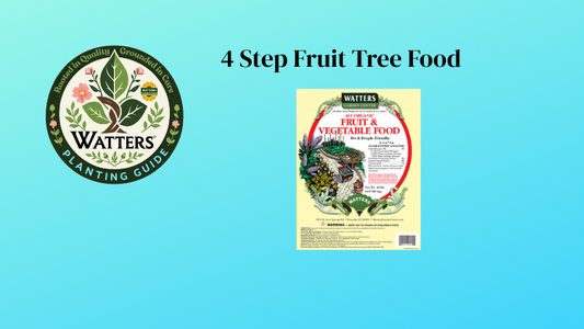 4 Step Fruit Tree Food