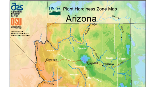 What are Garden Hardiness Zones and Why it Matters