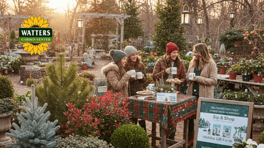 Women Drinking Coffee in a Beautiful Winter Garden Setting 