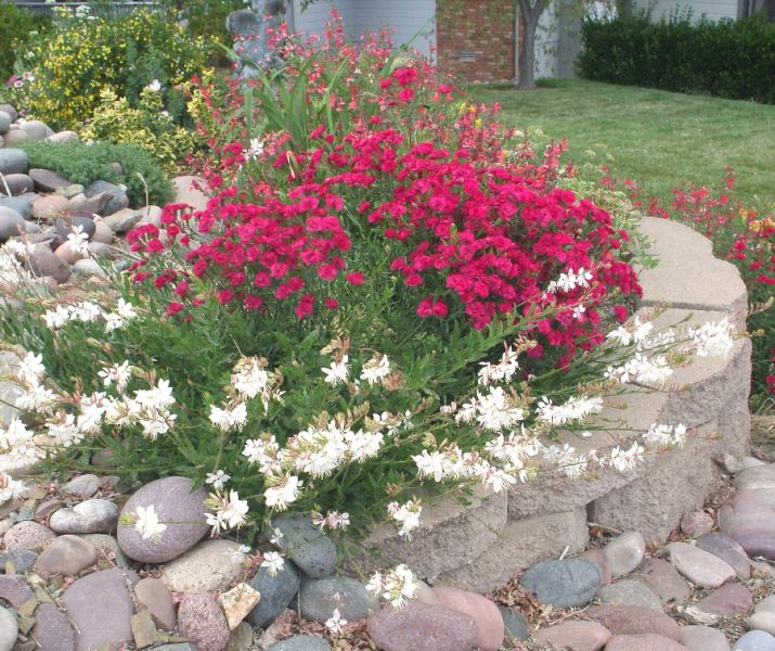 August 24 - Cutting Time & Work in the Yard (Free)