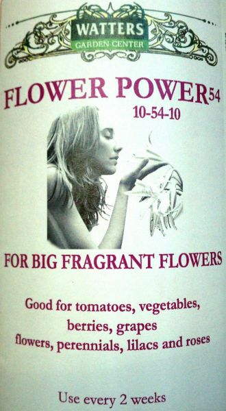 Flower Power