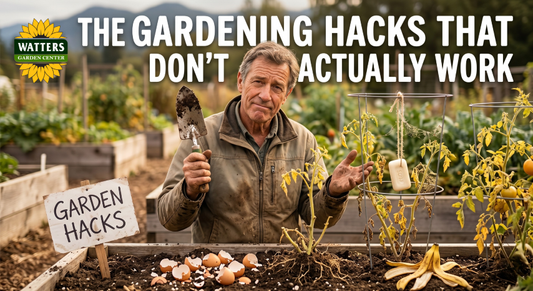 Bad Garden Truths: Gardening "Hacks" That Just Don't Dig It