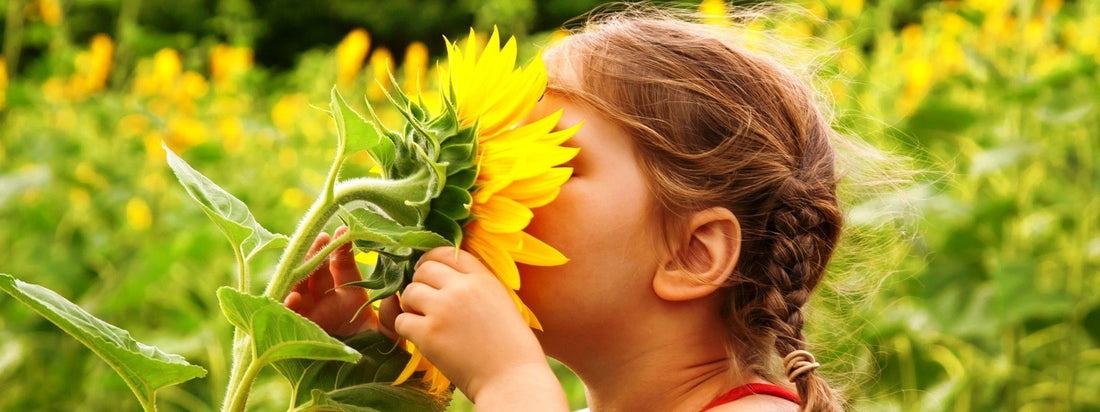 17 Smelly Flowers All Moms Love