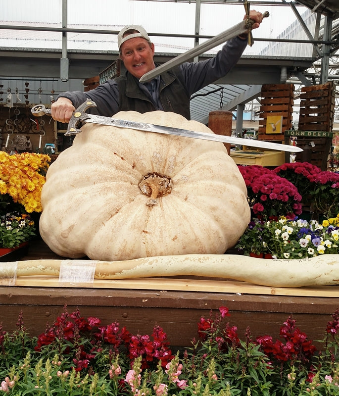 Giant Pumpkin Harvest - November 3rd 11:00 AM