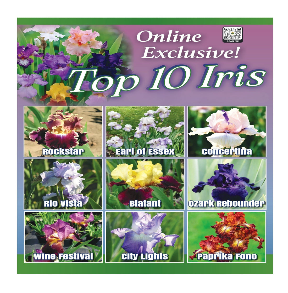Top10Iris