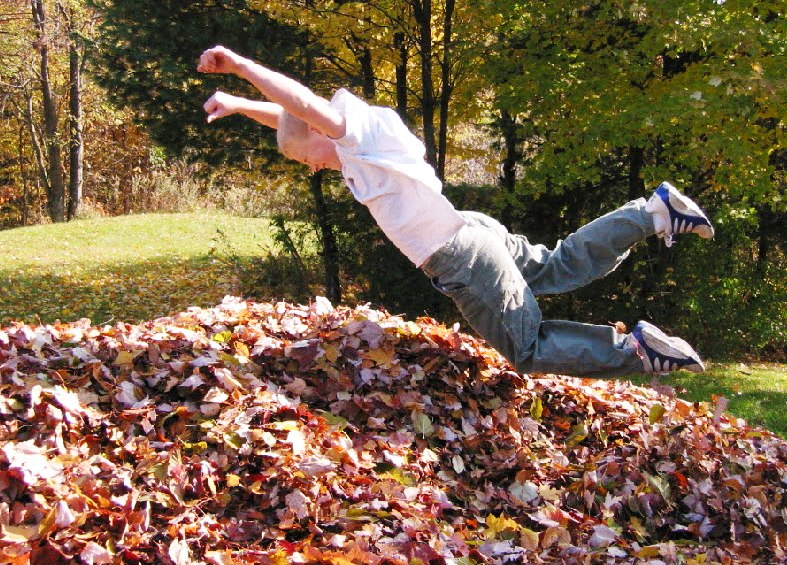 10 Things to do with Autumn Leaves