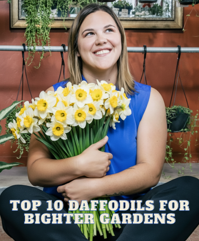 Will Javelina Eat Daffodils & How to Plant These