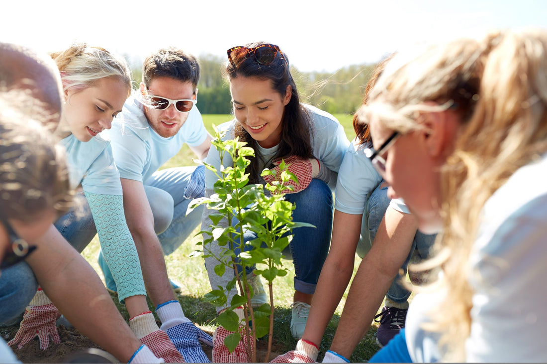 10 TIPS TO SUCCESSFUL GARDENS