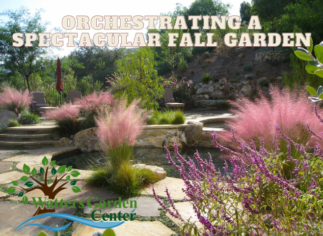 Spectacular Fall Garden