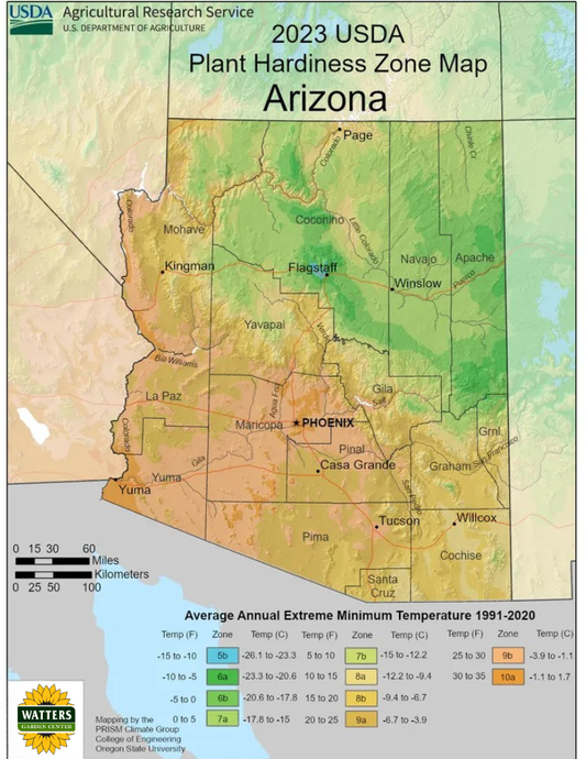 What are Garden Hardiness Zones and Why it Matters