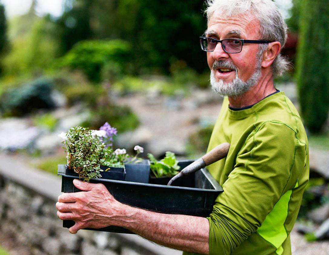 Plants for Rock Gardens?