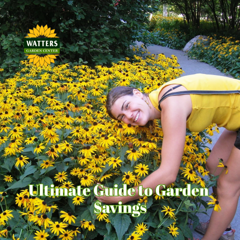 Ultimate Guide to Garden $avings