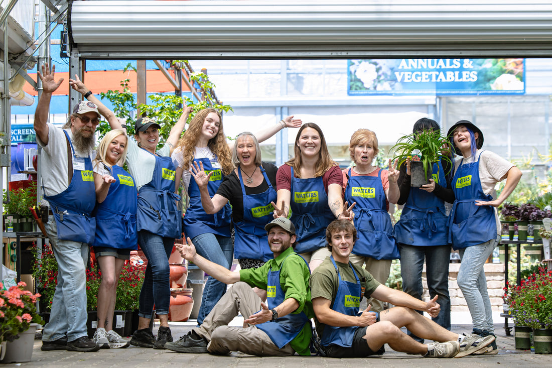 Breath of Fresh Air: Watters Garden Center's People-First Business Model