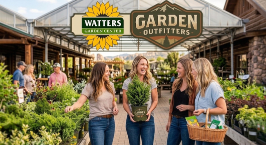 Prescott's 'Mountain Gardener' Launches Garden Outfitters to save independent nurseries nationwide.