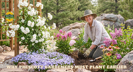 Why Prescott Gardeners Plant Earlier in 2026