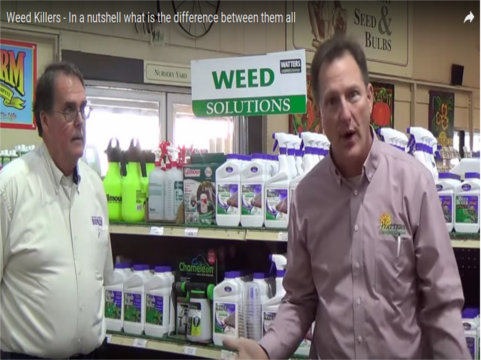 Tutorial: Weed Free Video