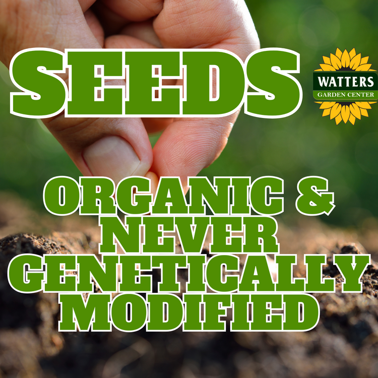 Seeds - Organic & Never Genetically Modified