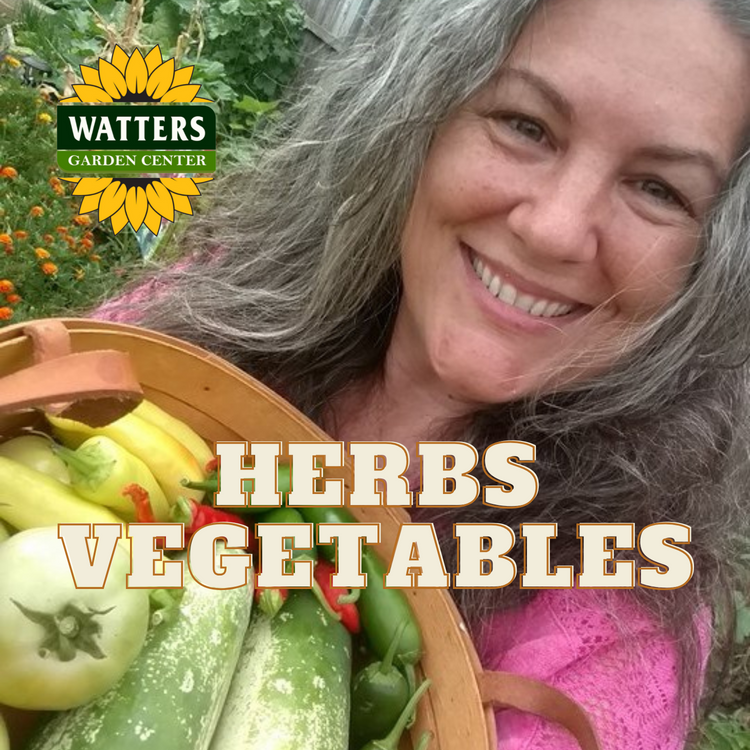 HERBS & VEGETABLES