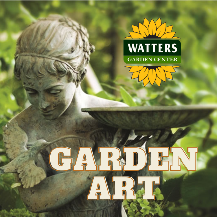 OUTDOOR LIVING & ART