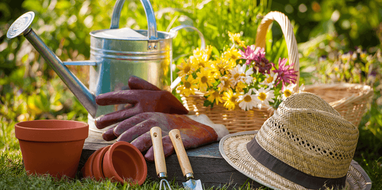 Garden Gifts Ideas