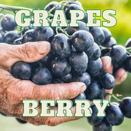 BERRY & GRAPES