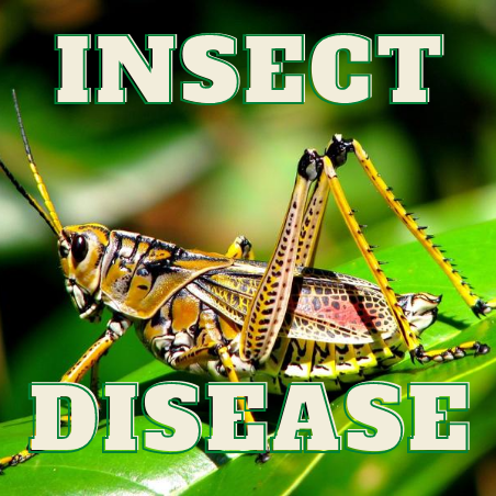 INSECT & DISEASE CONTROL