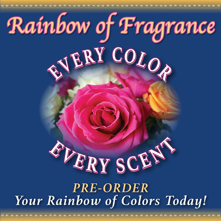 Rose Event Rainbow of Fragrance Every Color Every Scent