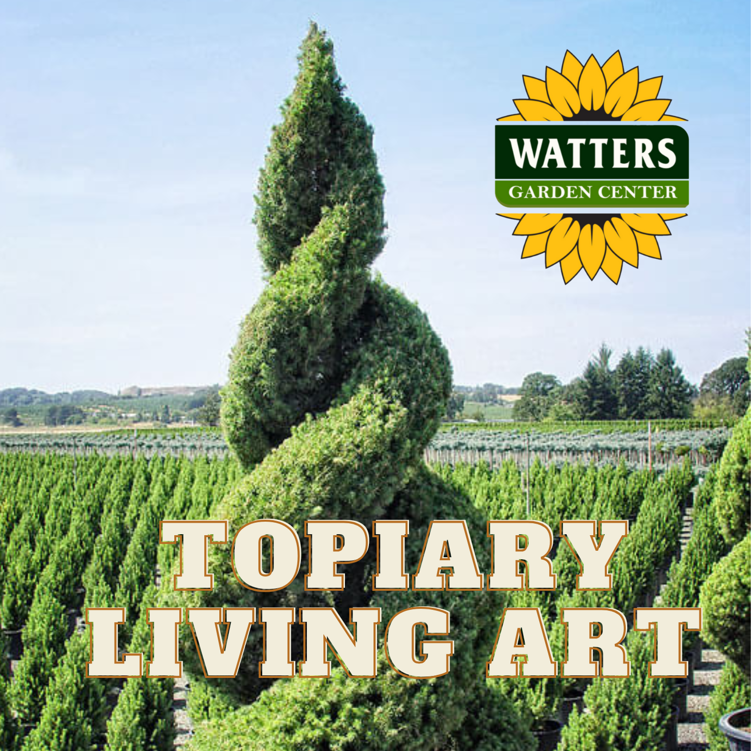 TOPIARY SCULPTURES