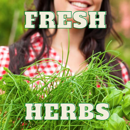 Herb Online