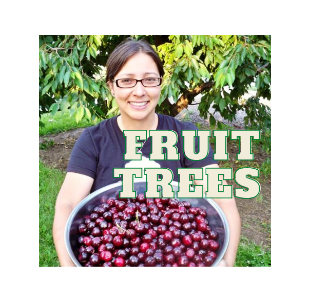 FRUIT TREES Online