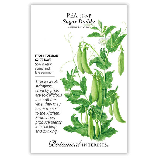 SEEDS 299