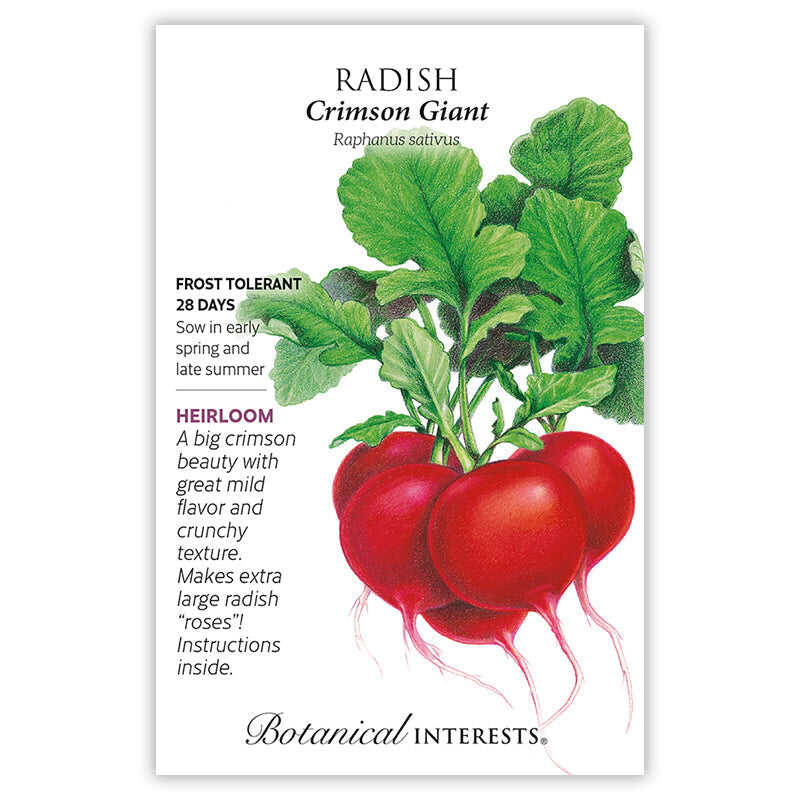 SEEDS 269