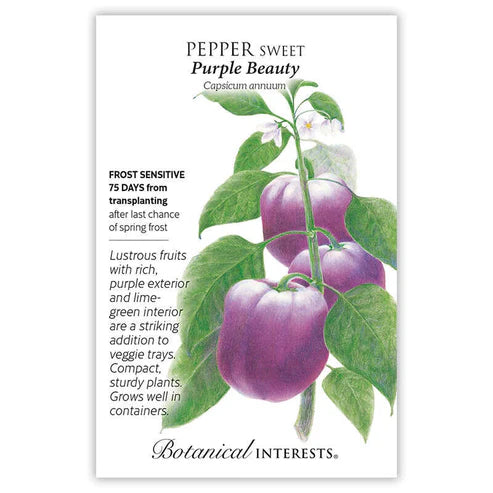 SEEDS 269