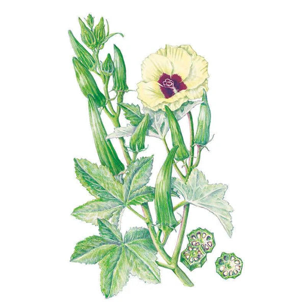 SEEDS 269