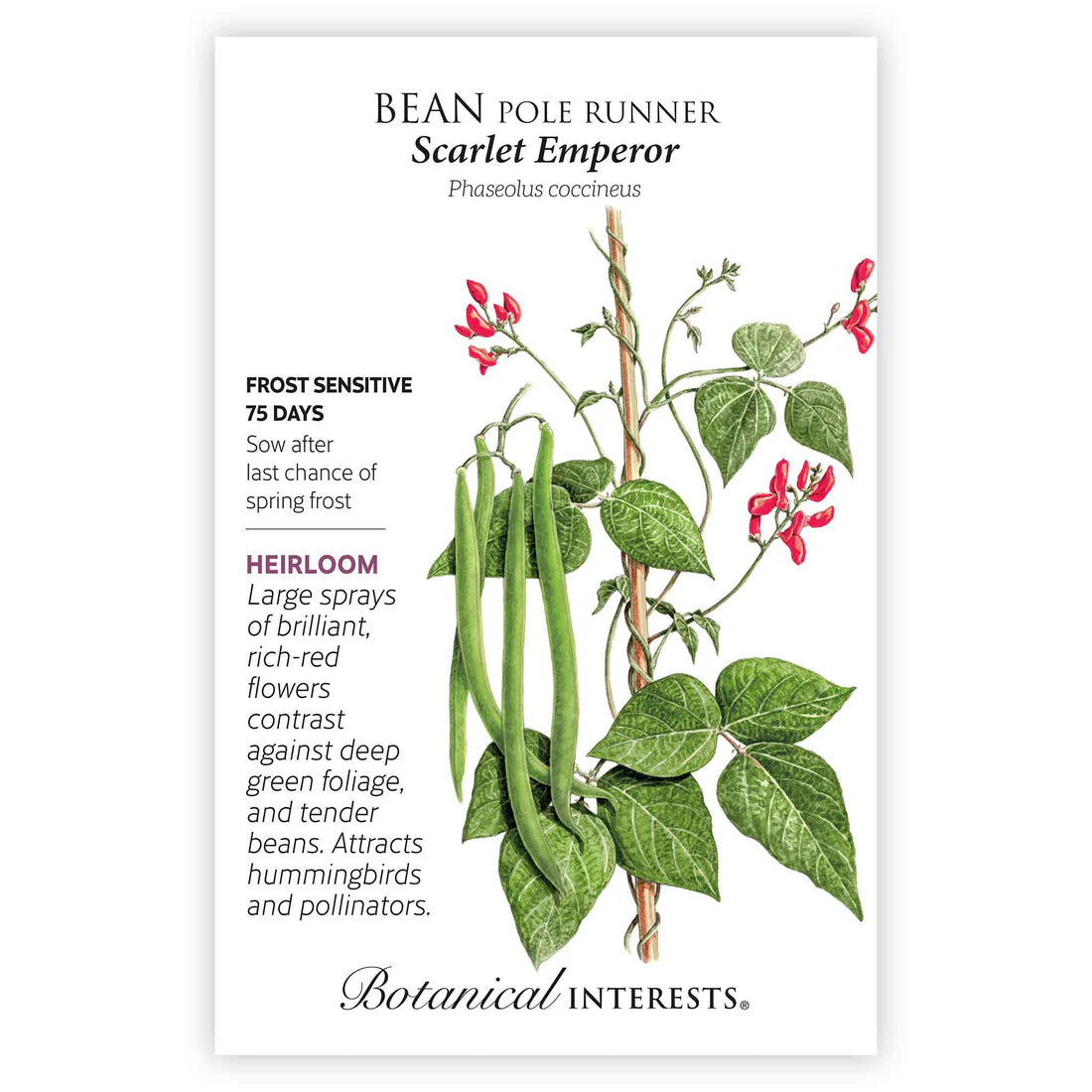 SEEDS 449
