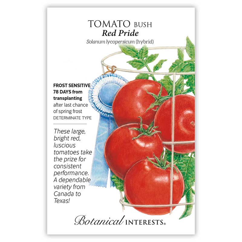 SEEDS 449