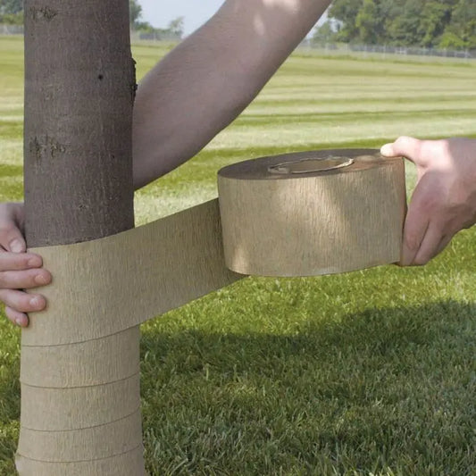 (DEWITT TREE WRAP) -