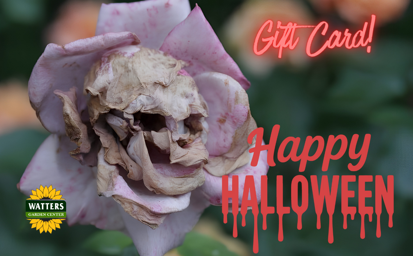 Watters Garden Center Gift Card